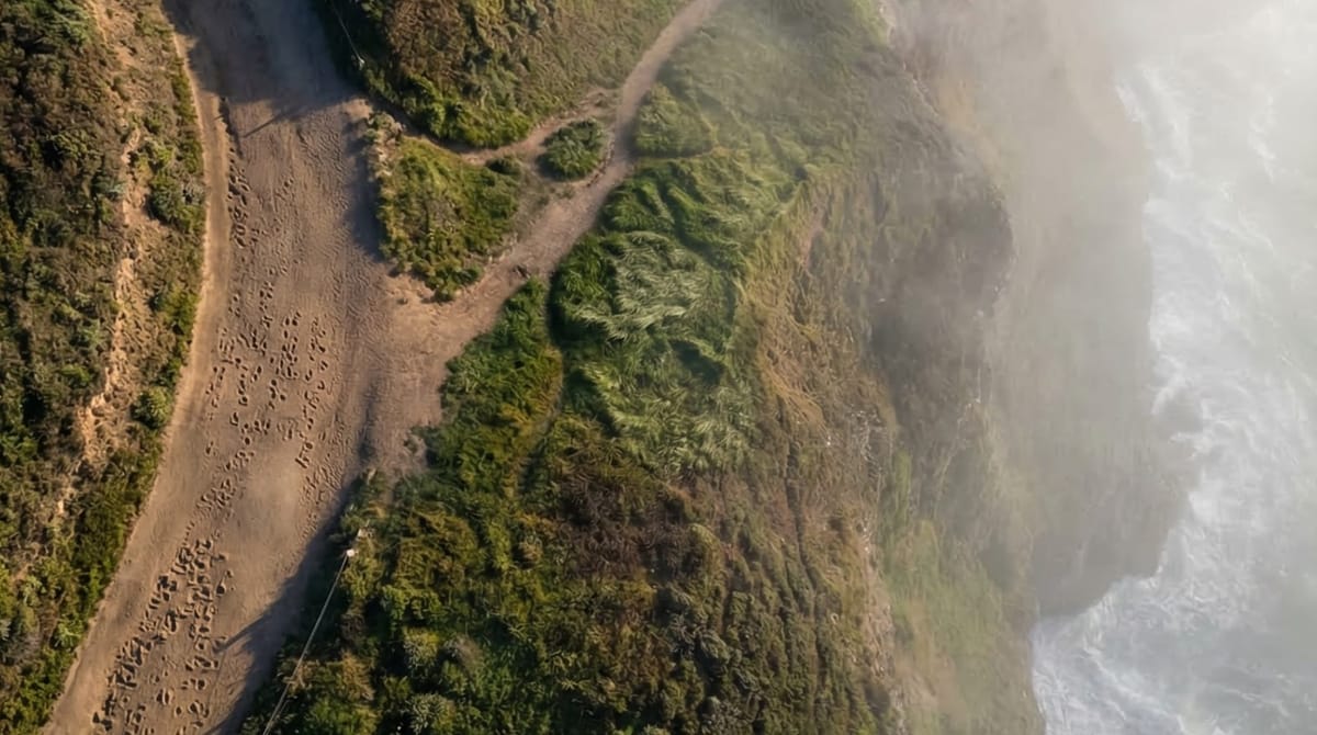 I'm Running an Experiment on Trust