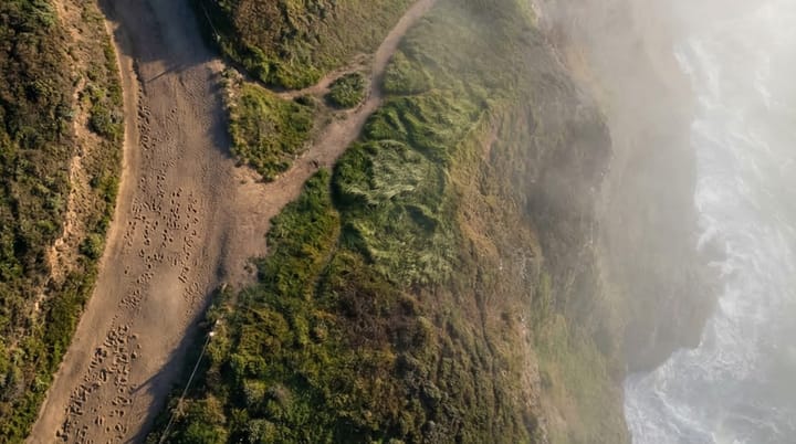 I'm Running an Experiment on Trust